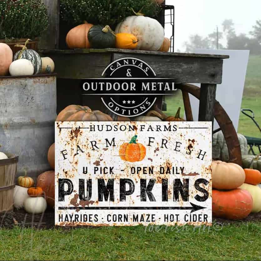 Transform your fall decor with this personalized "Farm Fresh Pumpkins" sign by Toe Fish Art. An investment you'll treasure season after season, it's the perfect way to add instant farmhouse charm to your porch, entryway, or living space. Be surrounded by decor you LOVE! Choose premium framed canvas or durable outdoor metal. Toe Fish Art makes artisan wall art with American materials. Proudly Made in the USA, each piece is expertly constructed with genuine craftsmanship, heritage quality, and rustic charm.